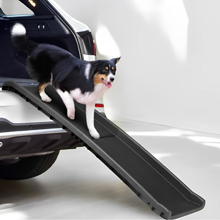 Foldable Pet Ramp with Non-Slip Surface - Lenila