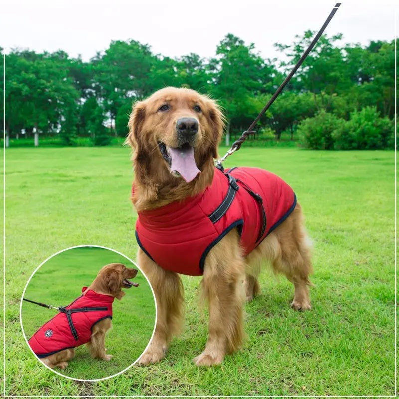 Dog Jacket Waterproof Winter with Reflective Built-In Harness