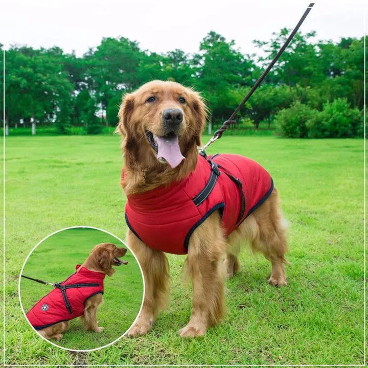 Dog Jacket Waterproof Winter with Reflective Built-In Harness