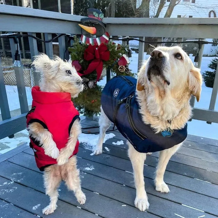 Dog Jacket Waterproof Winter with Reflective Built-In Harness