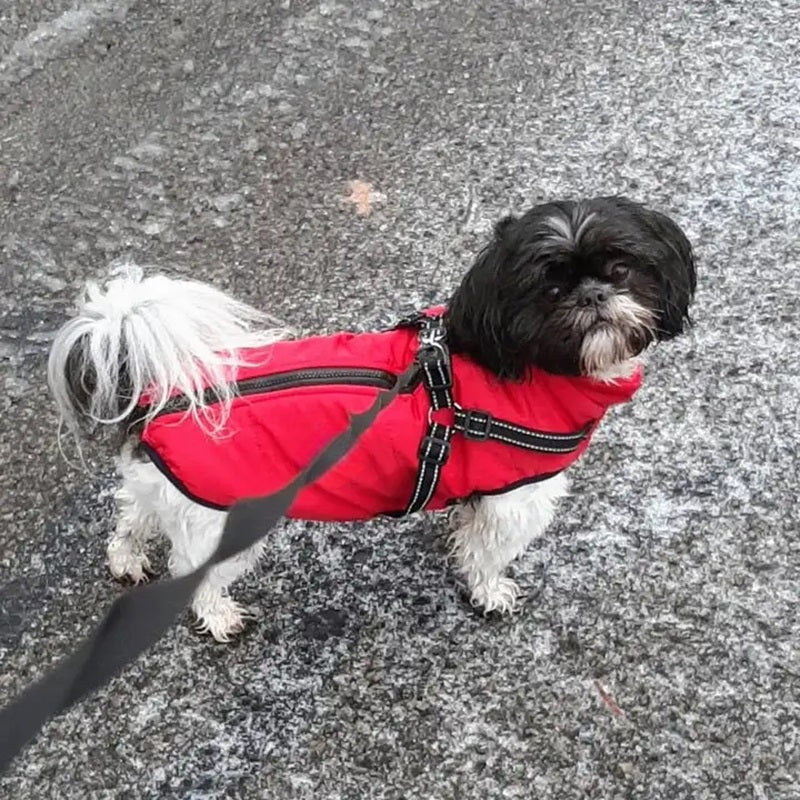 Dog Jacket Waterproof Winter with Reflective Built-In Harness