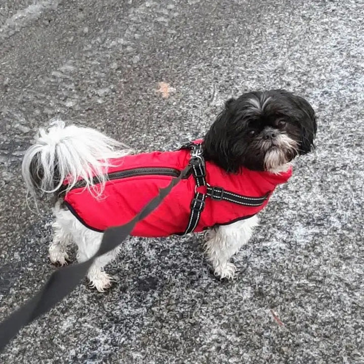 Dog Jacket Waterproof Winter with Reflective Built-In Harness
