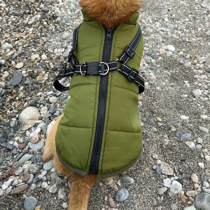 Dog Jacket Waterproof Winter with Reflective Built-In Harness