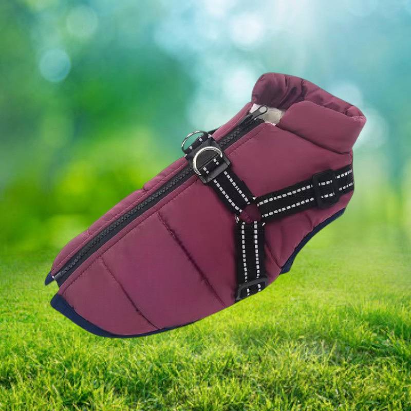 Dog Jacket Waterproof Winter with Reflective Built-In Harness