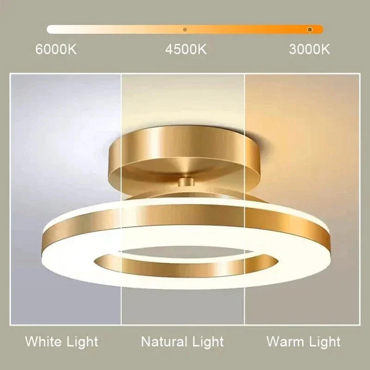 LED Ceiling Fixture Modern Design