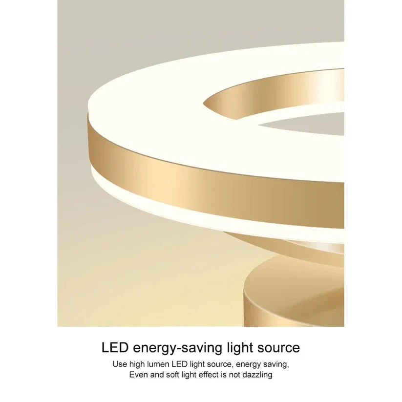 LED Ceiling Fixture Modern Design