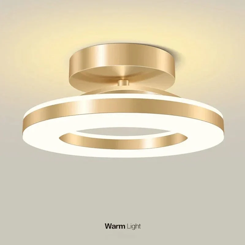 LED Ceiling Fixture Modern Design