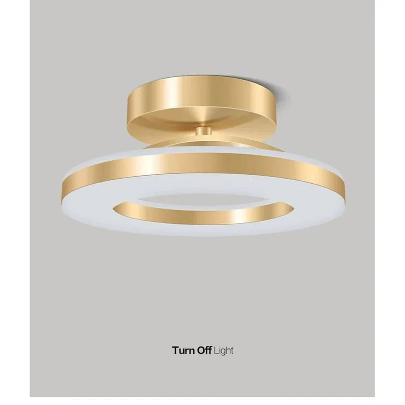 LED Ceiling Fixture Modern Design