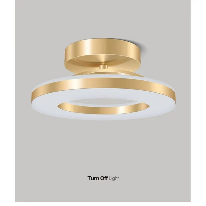 LED Ceiling Fixture Modern Design