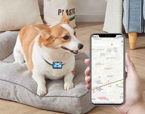 Pet GPS Tracker Collar for Dogs Location Tracking