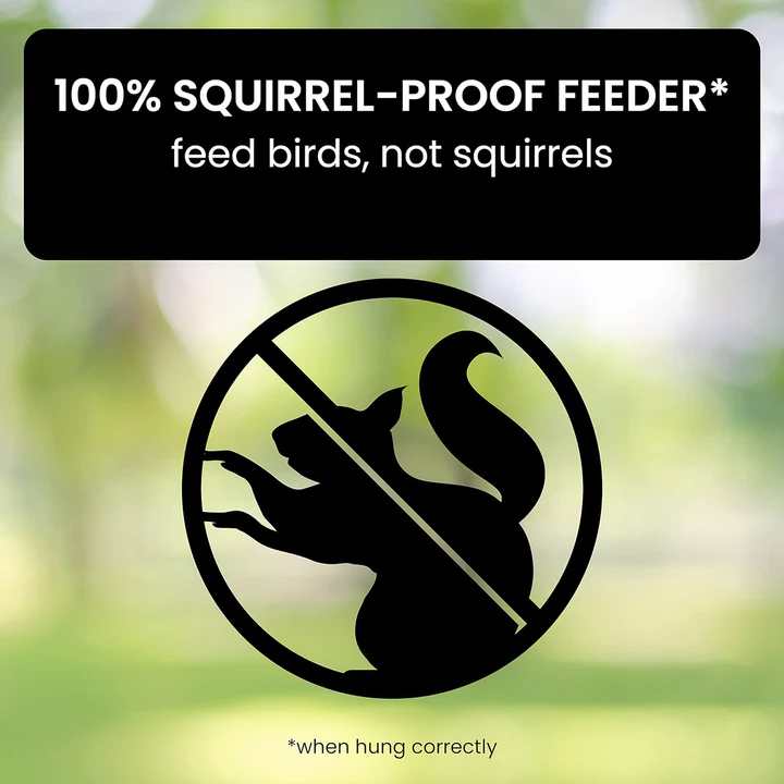 Outdoor Squirrel-Proof Bird Feeder Durable Design