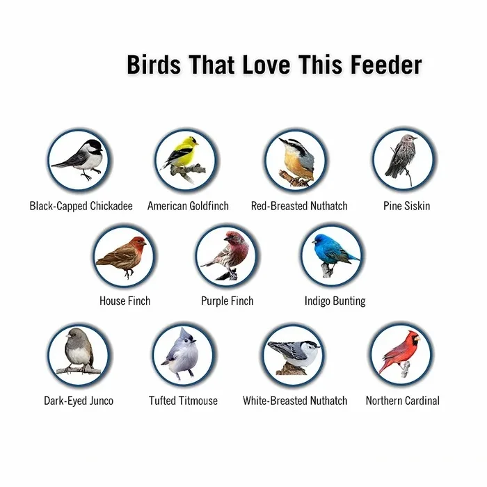 Weight Activated Bird Feeder Metal 5lb Capacity