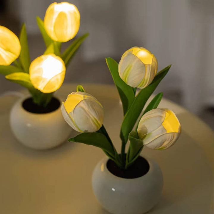 LED Mood Lamp with Vase Color Changing Ambient Table