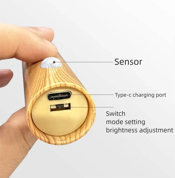 LED Night Lamp with Motion Sensor for Wardrobe and Bedside Use