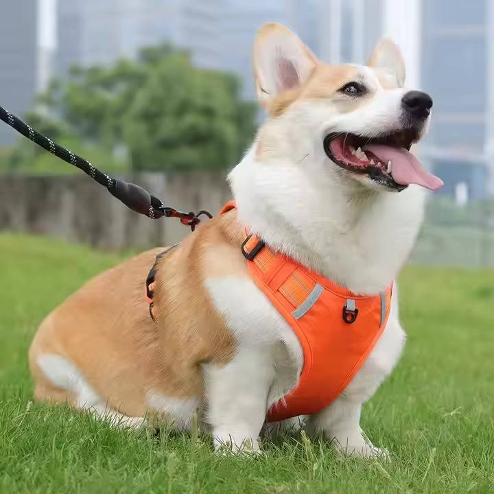 Adjustable Reflective Dog Harness Breathable Mesh No Pull Saddle