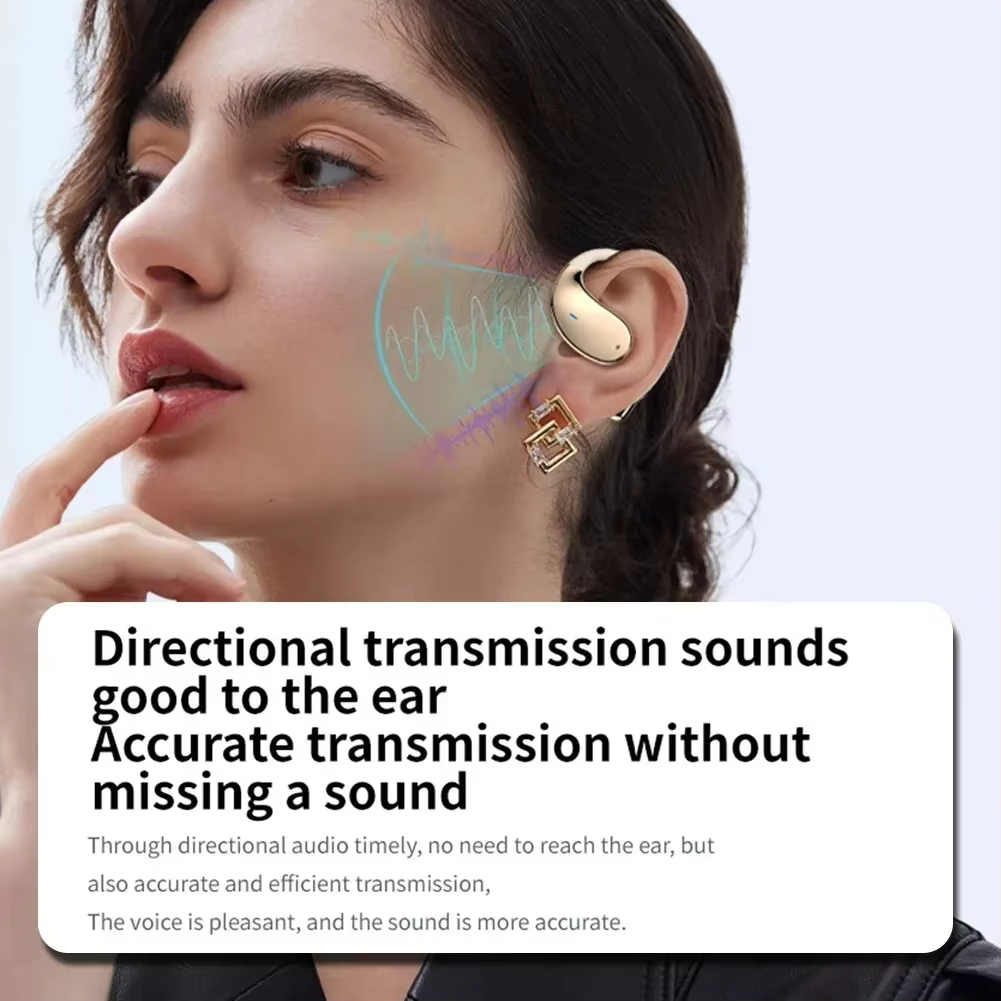 Wireless Bluetooth Earbuds Real-Time Translator HiFi Sound