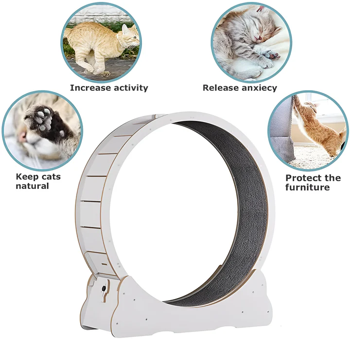 Pet Exercise Wheel for Cats Silent Design