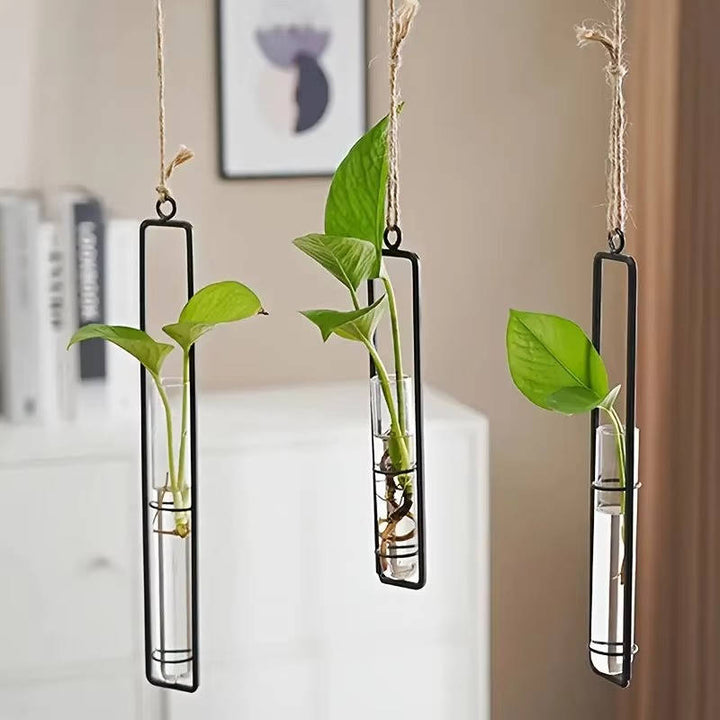 Indoor Plant Propagation Station Glass Test Tube Planter with Metal