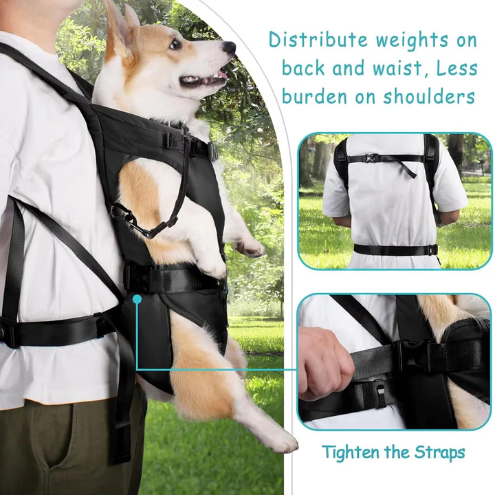 Pet Carrier Backpack Adjustable Fit