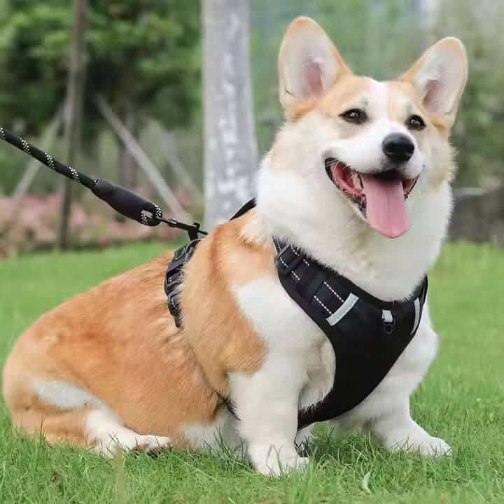 Adjustable Reflective Dog Harness Breathable Mesh No Pull Saddle