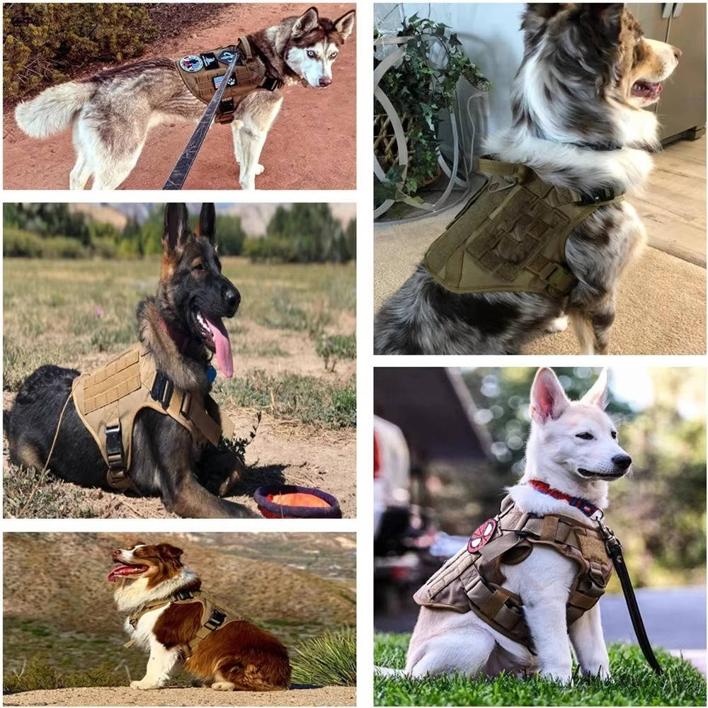 Adjustable Tactical Dog Vest Harness with Collar and Leash for Medium