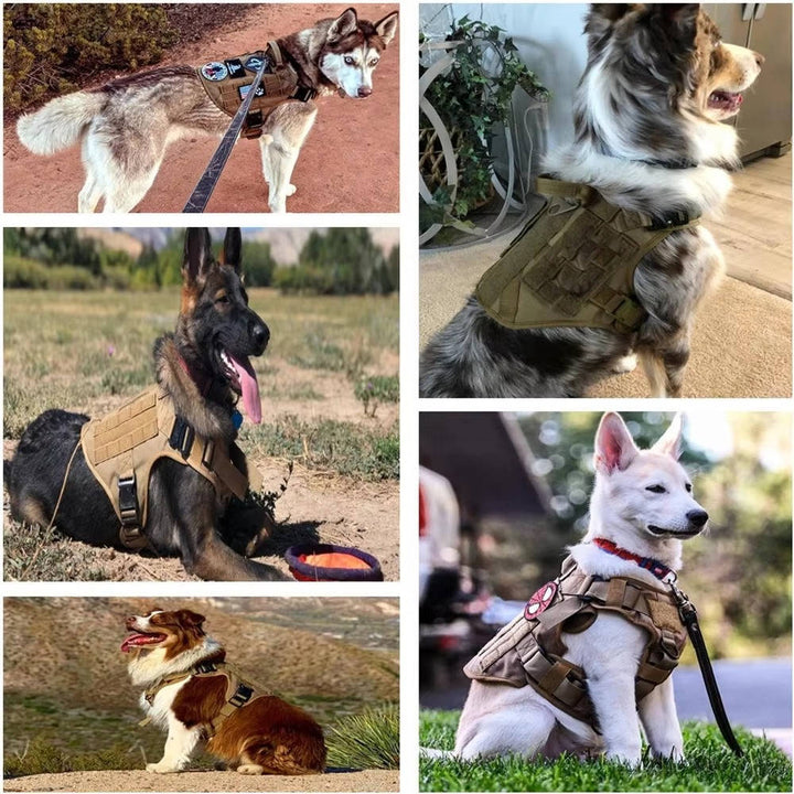 Adjustable Tactical Dog Vest Harness with Collar and Leash for Medium