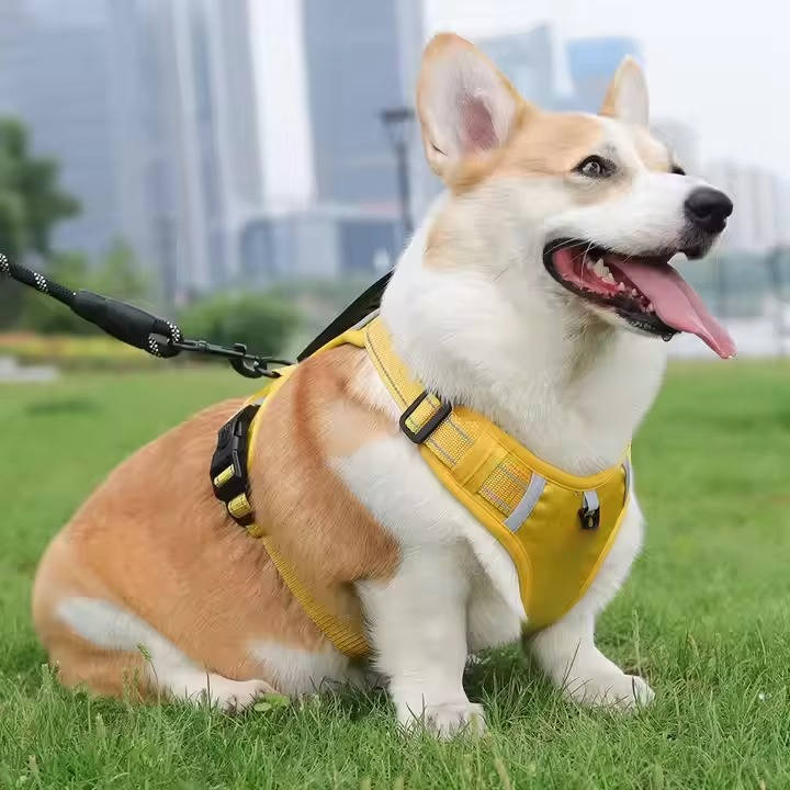 Adjustable Reflective Dog Harness Breathable Mesh No Pull Saddle