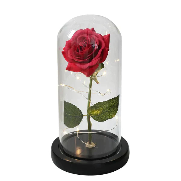 LED Dome Display with Battery-Powered Preserved Item
