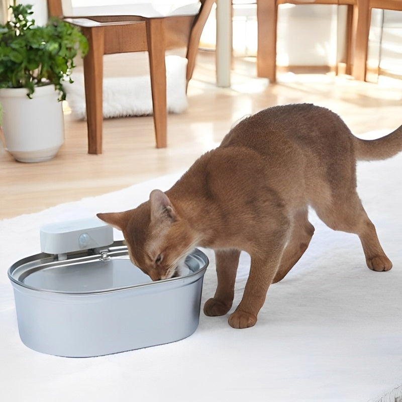 Wireless Automatic Pet Water Fountain - Lenila
