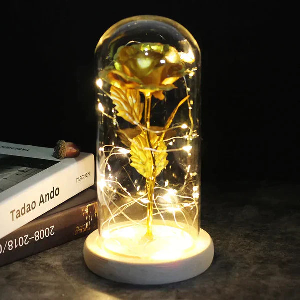 LED Dome Display with Battery-Powered Preserved Item