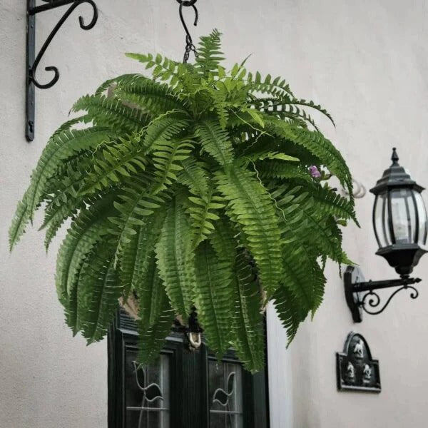 Artificial Boston Fern UV Resistant Lifelike Plant