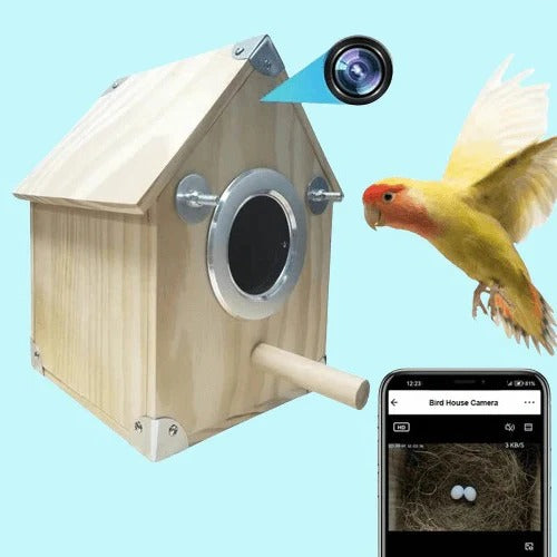 Bird Watching Nesting Feeder for Outdoor Use - Lenila