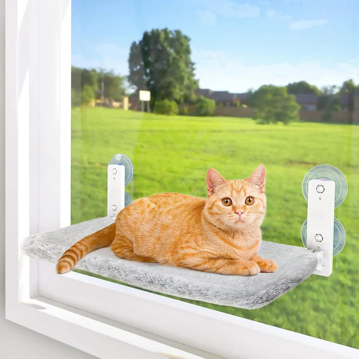 Pet Cat Hammock Window Mount Adjustable - Lenila