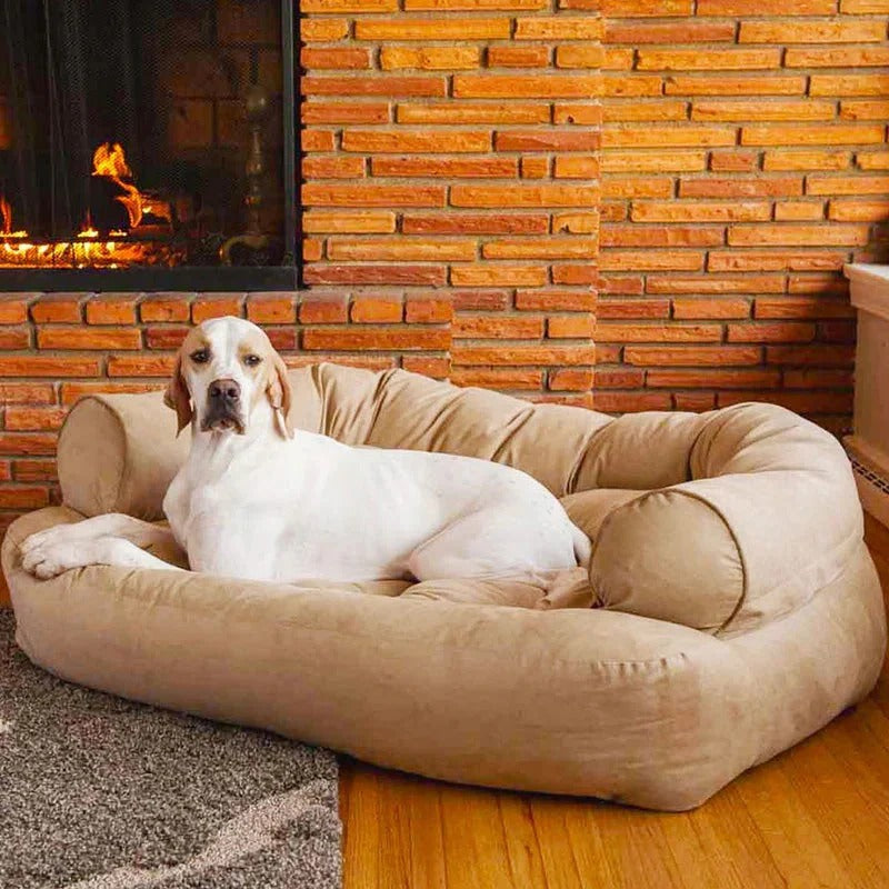 Pet Dog Sofa with Cushioned Upholstery - Lenila