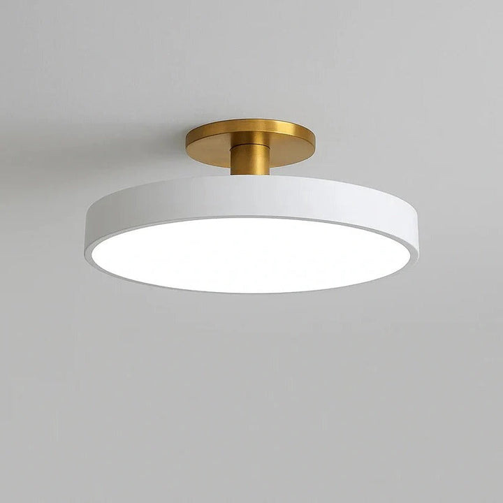 LED Ceiling Flush Mount Modern Design Interior