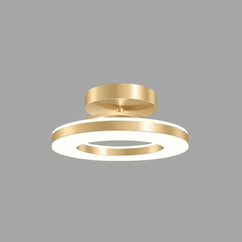 LED Ceiling Fixture Modern Design