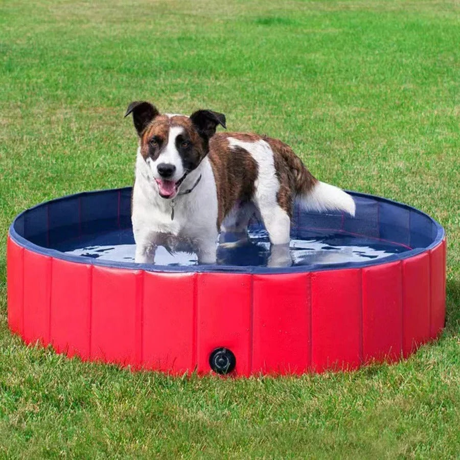 Foldable Pet Pool Portable Lightweight Design - Lenila