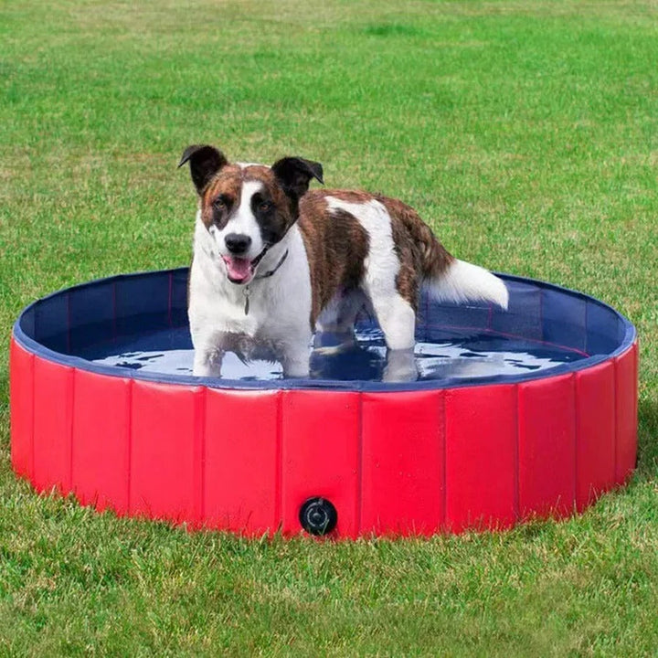 Foldable Pet Pool Portable Lightweight Design - Lenila