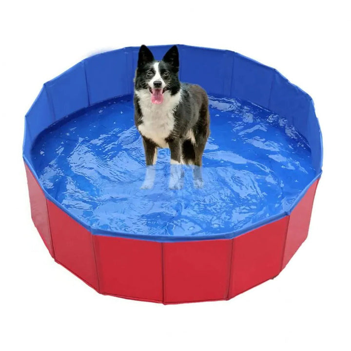Foldable Pet Pool Portable Lightweight Design