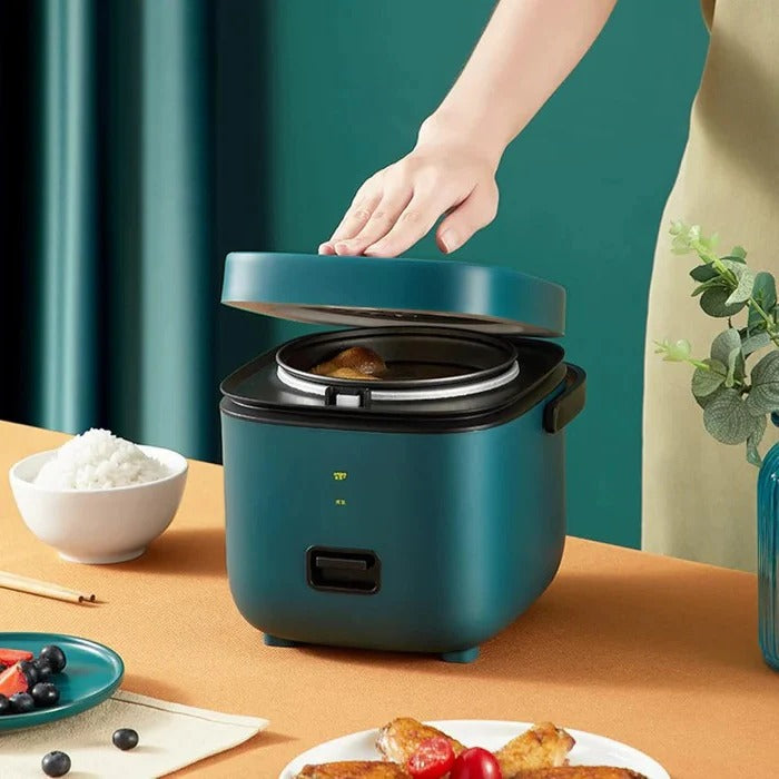 Mini Rice Cooker Non-Stick Pot Compact Capacity