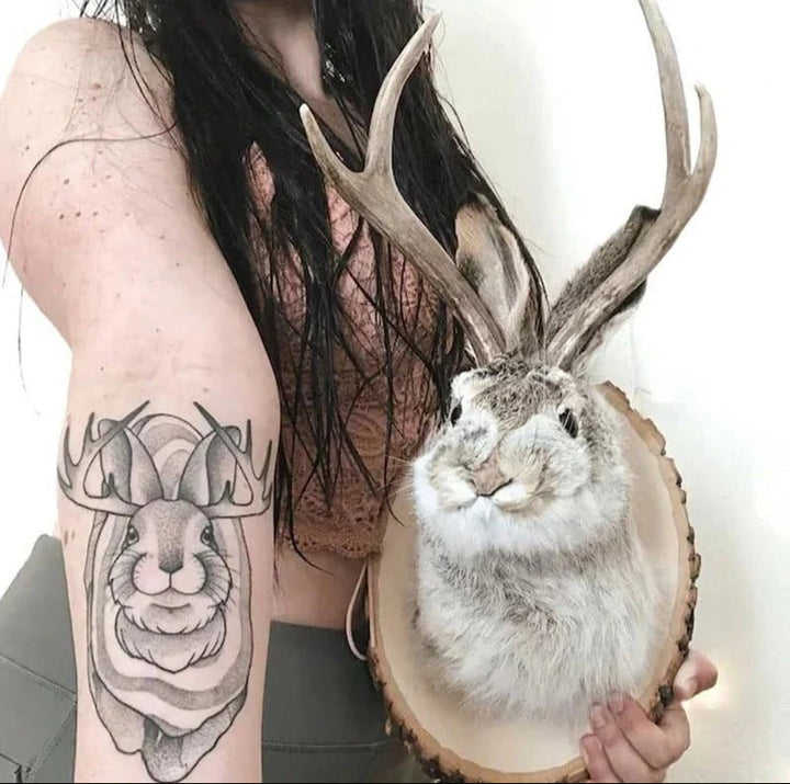 Wall Decor Jackalope Figurine Decorative Sculpture