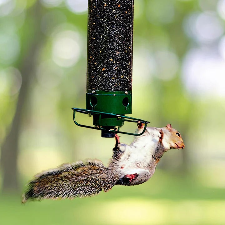 Outdoor Metal Bird Feeder with Cage Design Durable