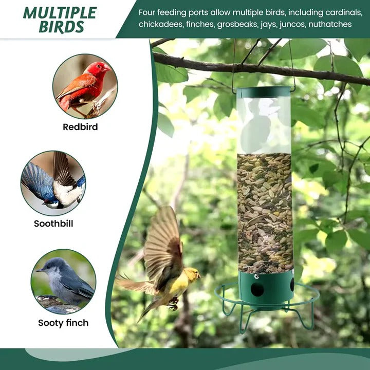 Outdoor Metal Bird Feeder with Cage Design Durable