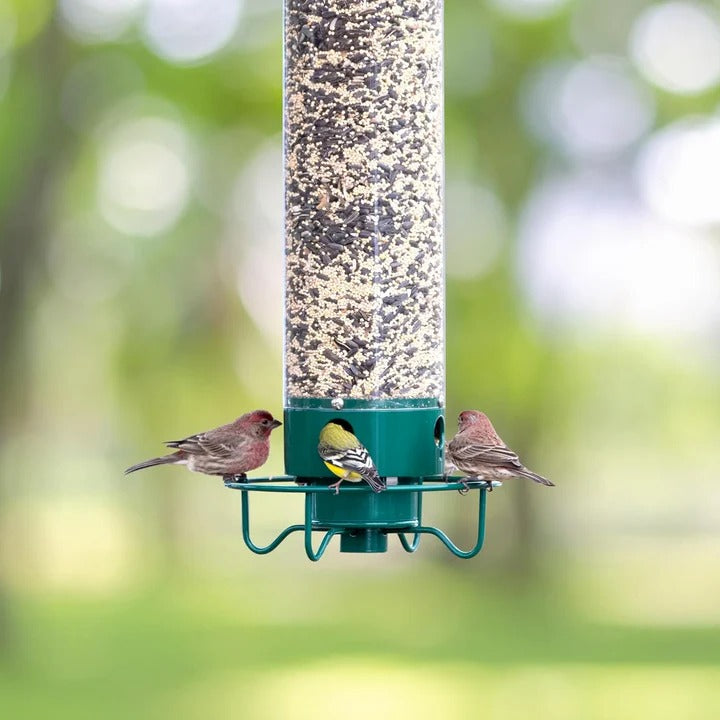 Outdoor Metal Bird Feeder with Cage Design Durable