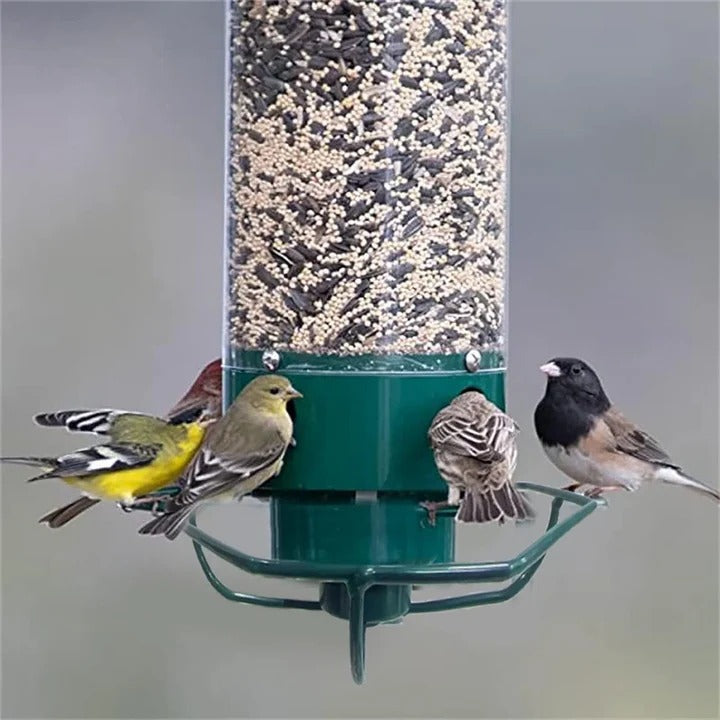 Outdoor Metal Bird Feeder with Cage Design Durable - Lenila