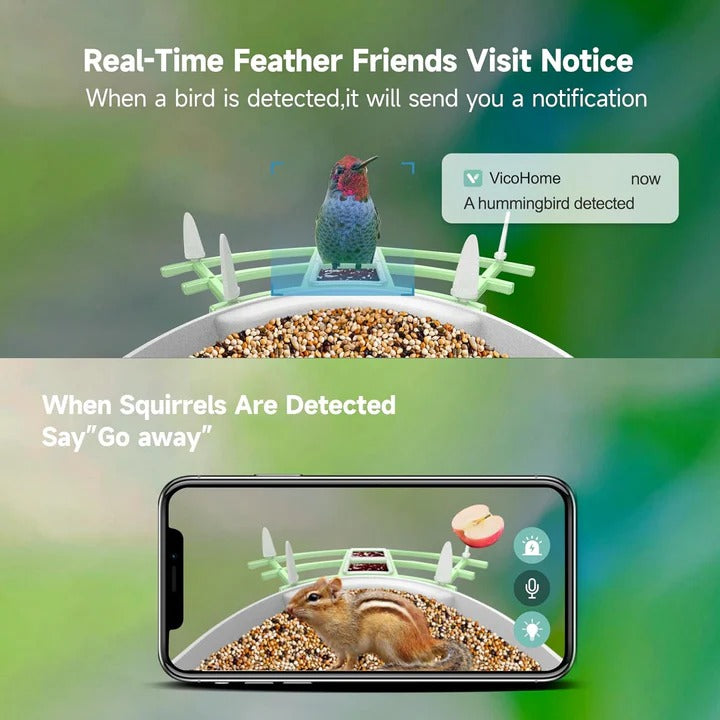 Solar Powered Bird Feeder with WiFi Connectivity Smart