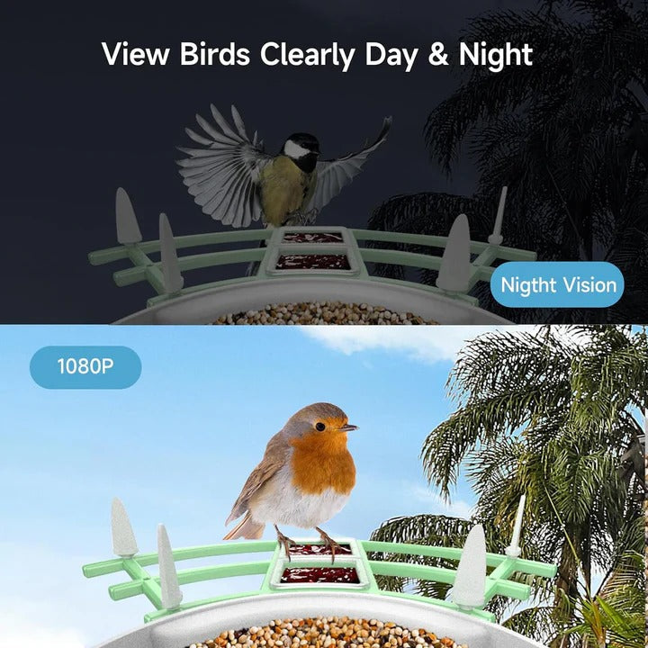 Solar Powered Bird Feeder with WiFi Connectivity Smart