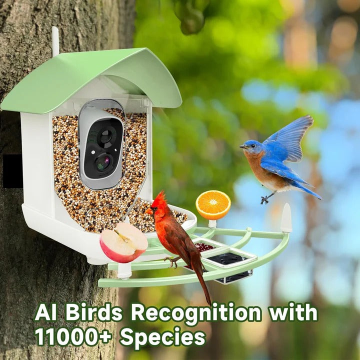 Solar Powered Bird Feeder with WiFi Connectivity Smart