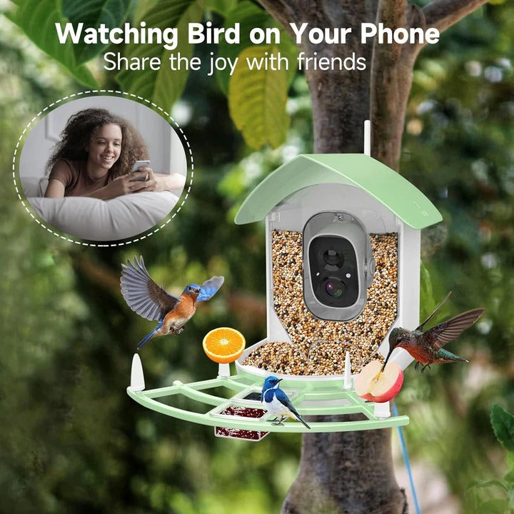 Solar Powered Bird Feeder with WiFi Connectivity Smart