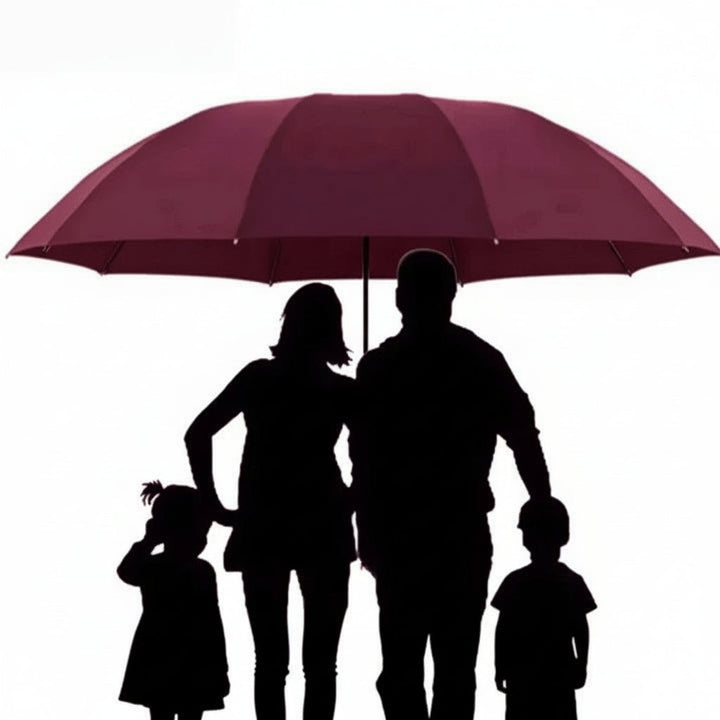 Automatic Folding Umbrella Large Canopy